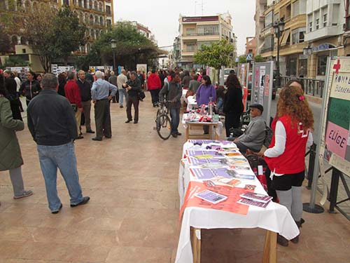 Trece colectivos de mujeres participan en el IV Día de Puertas Abiertas 1