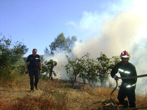 SOFOCADO UN INCENDIO JUNTO A LA ALDEA DE SOTOGORDO 1