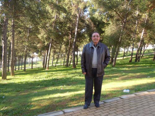 INICIADO UN NUEVO TRATAMIENTO PREVENTIVO CONTRA LA PROCESIONARIA DEL PINO 1