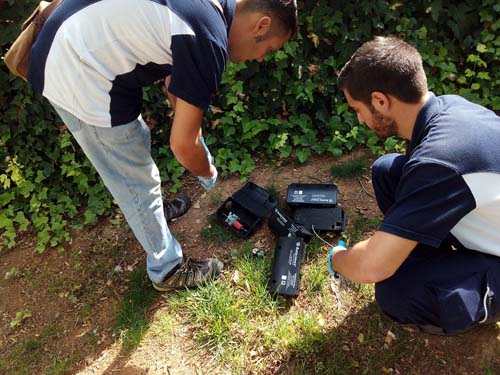Tratamiento preventivo de desratización en el Parque de Los Pinos 1