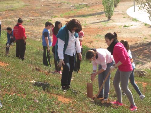Alumnos de los centros educativos plantan unos 450 árboles 1