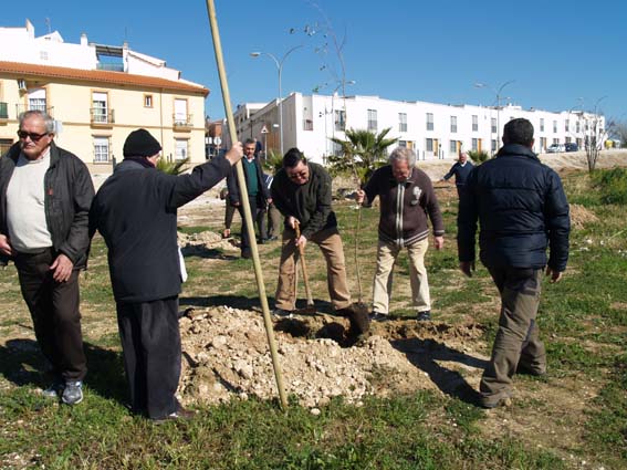 UN GRUPO DE MAYORES PLANTAN 32 ÁRBOLES JUNTO AL CARRIL BICI 1