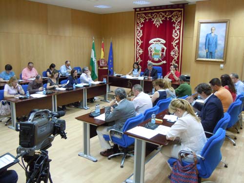 PLENO DEL MES DE MAYO DE 2012 1