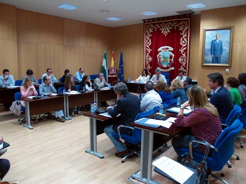 PLENO ORDINARIO DEL MES DE MAYO DE 2013 1