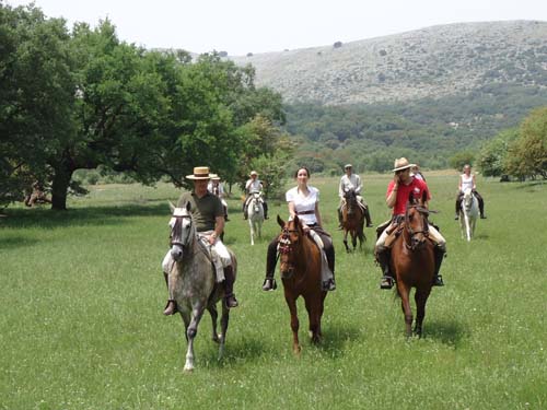 CAMINOS DE PASIÓN PROMOCIONA SU OFERTA TURÍSTICA EN 1.500 AGENCIAS DE VIAJE 1