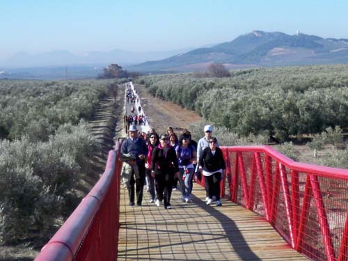 RUTA POR LA VÍA VERDE DEL GRUPO DE MANTENIMIENTO 1