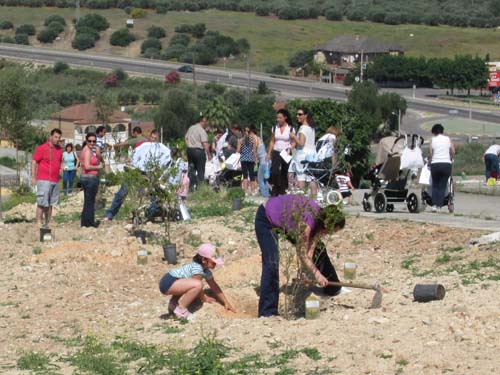 SE PLANTAN MÁS DE 160 ÁRBOLES EN LA SEGUNDA EDICIÓN DEL PROGRAMA MEDIOAMBIENTAL EL BOSQUE DE LOS NIÑOS 1