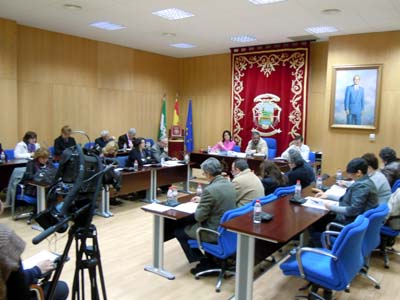 PLENO ORDINARIO. MES DE FEBRERO 2011 1