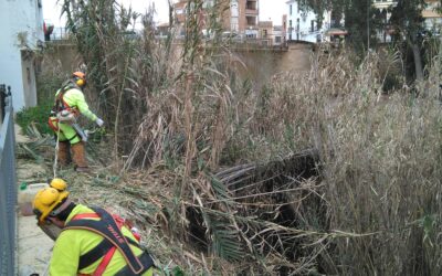 Control de la vegetación en los paseos fluviales del río genil