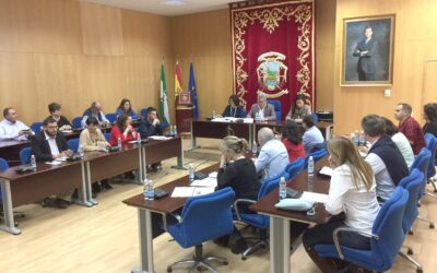 El Pleno aprueba el inicio del Plan Municipal de Vivienda y Suelo de Puente Genil