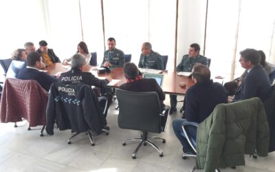 Puente Genil registra un descenso del 20% en los índices de criminalidad