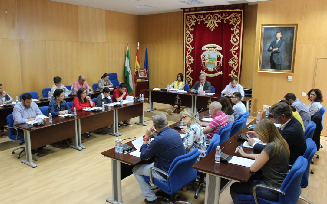 Pleno Extraordinario de Mayo 2019