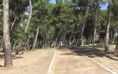 Culminan las obras de mejora del Pinar de San Rafael en el Parque de Los Pinos