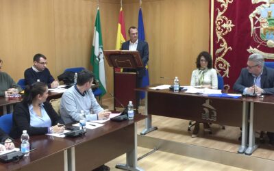 El Pleno celebra su última sesión del año