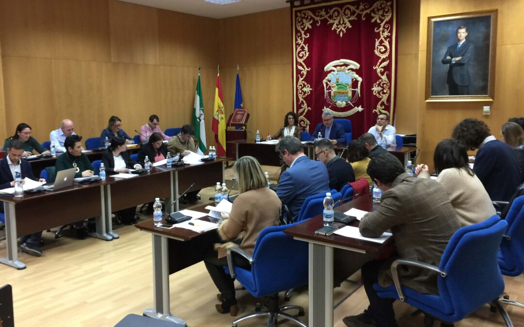 Pleno de febrero 2020