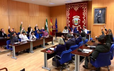Pleno Extraordinario por el Día Internacional de la Mujer