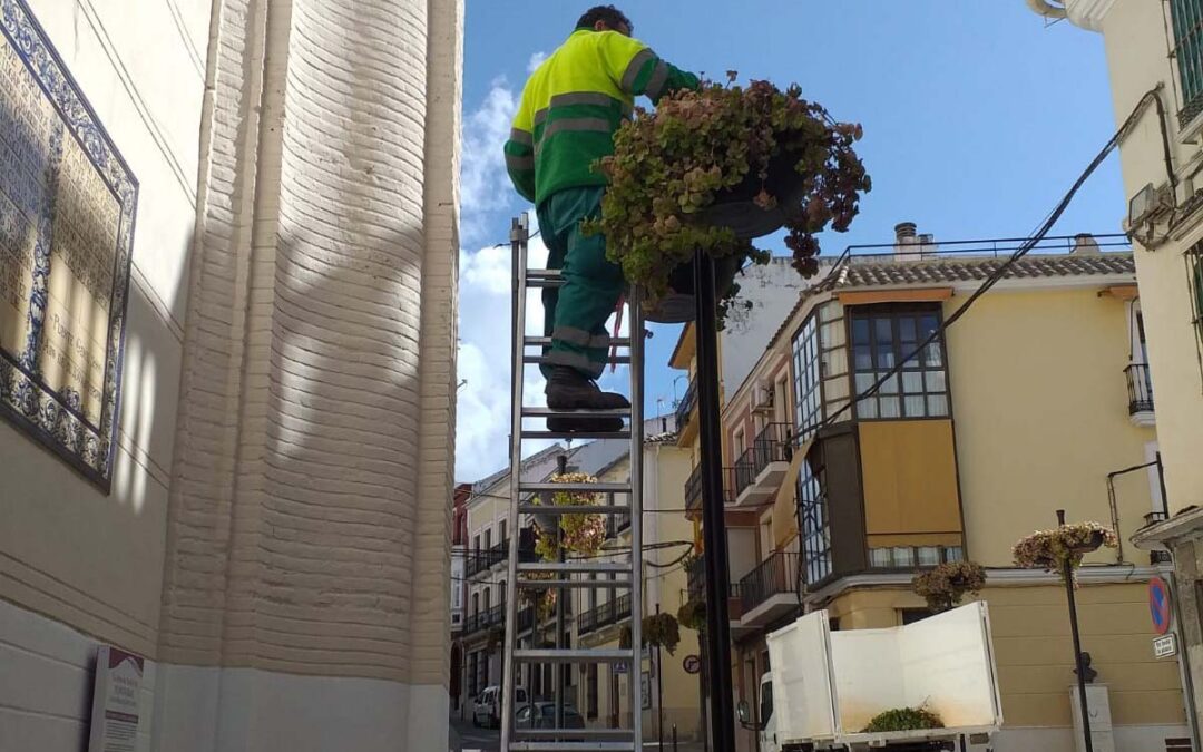 Replantación de maceteros