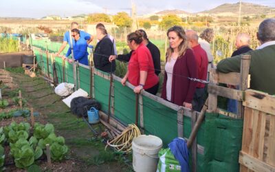 El Ayuntamiento autoriza a que los huertos sociales retomen su actividad