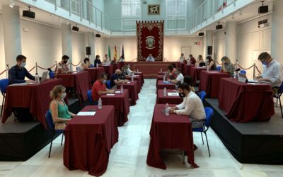 El Pleno aprueba externalizar el servicio de alumbrado público