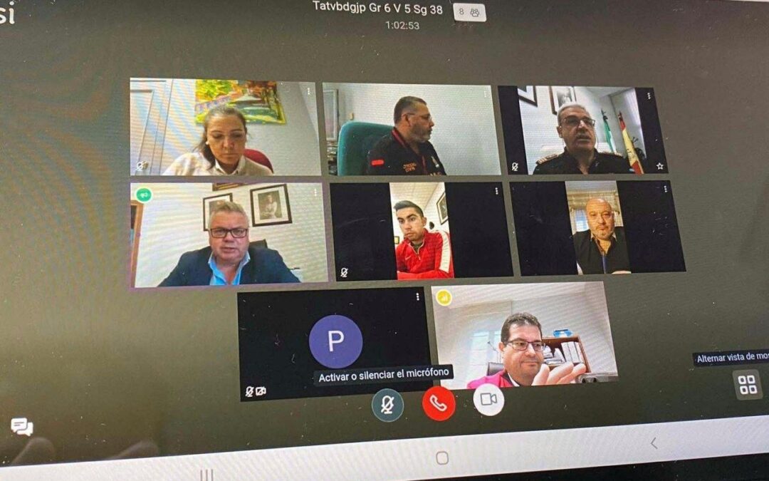 Reunión telemática de la Comisión de Seguridad