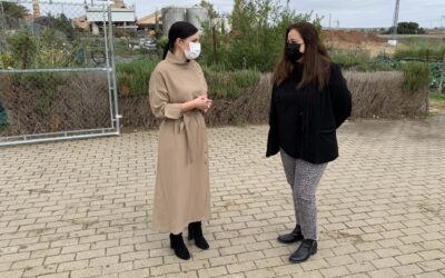 El Ayuntamiento licitará cinco parcelas en los huertos sociales