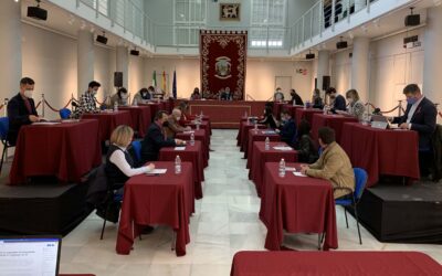 El Pleno aprueba solicitar a la Junta el cambio de nombre del colegio José María Pemán