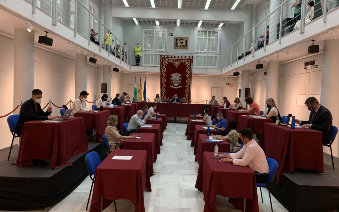 Pleno ordinario mayo