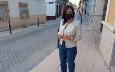 El Ayuntamiento pondrá en marcha un plan para el control de la población de palomas de la localidad a través de la Universidad de Córdoba