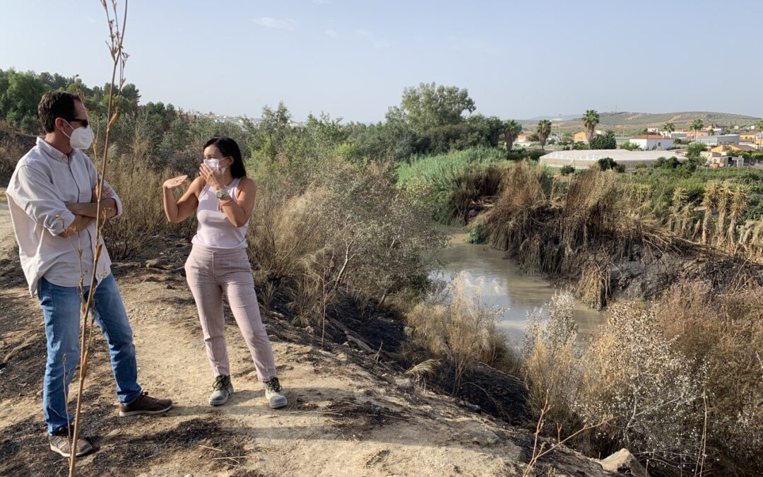 La concejala de Medio Ambiente visita la zona afectada por el incendio el pasado fin de semana 1