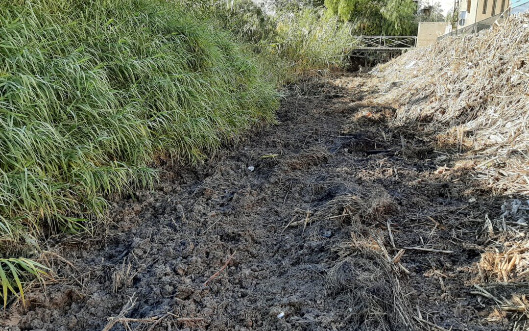 El Ayuntamiento acometerá la limpieza del Canal de La Alianza para mitigar los malos olores en Río de Oro 1