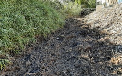 El Ayuntamiento acometerá la limpieza del Canal de La Alianza para mitigar los malos olores en Río de Oro
