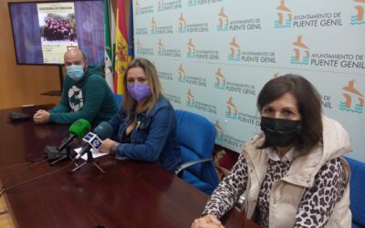 Presentada la obra de teatro ¡Qué ruina de función!