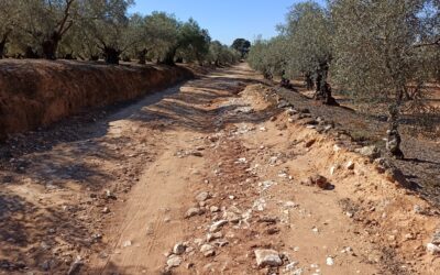 El Ayuntamiento invertirá más de 65.000 euros en la mejora de dos caminos rurales