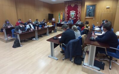 El Pleno aprueba por unanimidad la ordenanza del uso de pirotecnia y la incoación para la concesión de Medallas de Oro a Juan Ortega, Rafael Sánchez y Cruz Roja