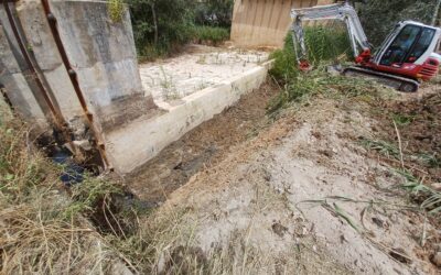 El Ayuntamiento acomete nuevos trabajos de limpieza en el canal de La Alianza con una inversión de casi 18.000 euros