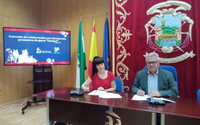 El Ayuntamiento de Puente Genil continuará su colaboración con la asociación Gatitud para regular las colonias de gatos en la localidad