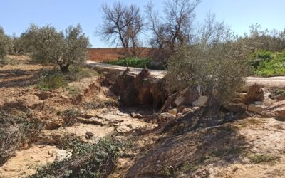 El Ayuntamiento mejorará el camino rural de la Ribera Baja de San Juan con un nuevo paso sobre el arroyo de la Vizcaína