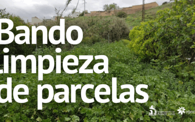 Bando limpieza de parcelas 2025